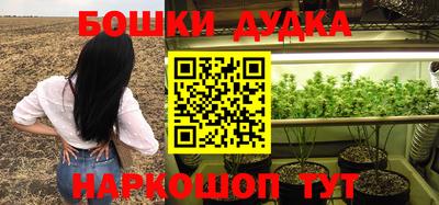 тгк Дубна