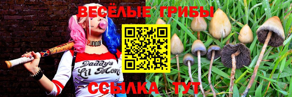 Псилоцибиновые грибы MAGIC MUSHROOMS Междуреченск