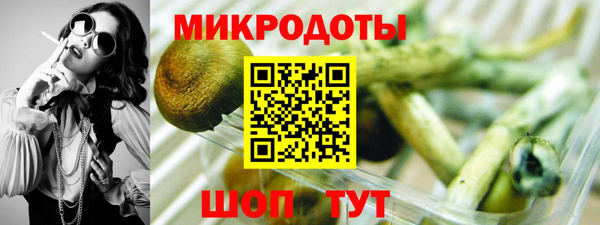 Междуреченск  Псилоцибиновые грибы GOLDEN TEACHER  Галлюциногенные грибы Magic Shrooms  Вход с VPN 